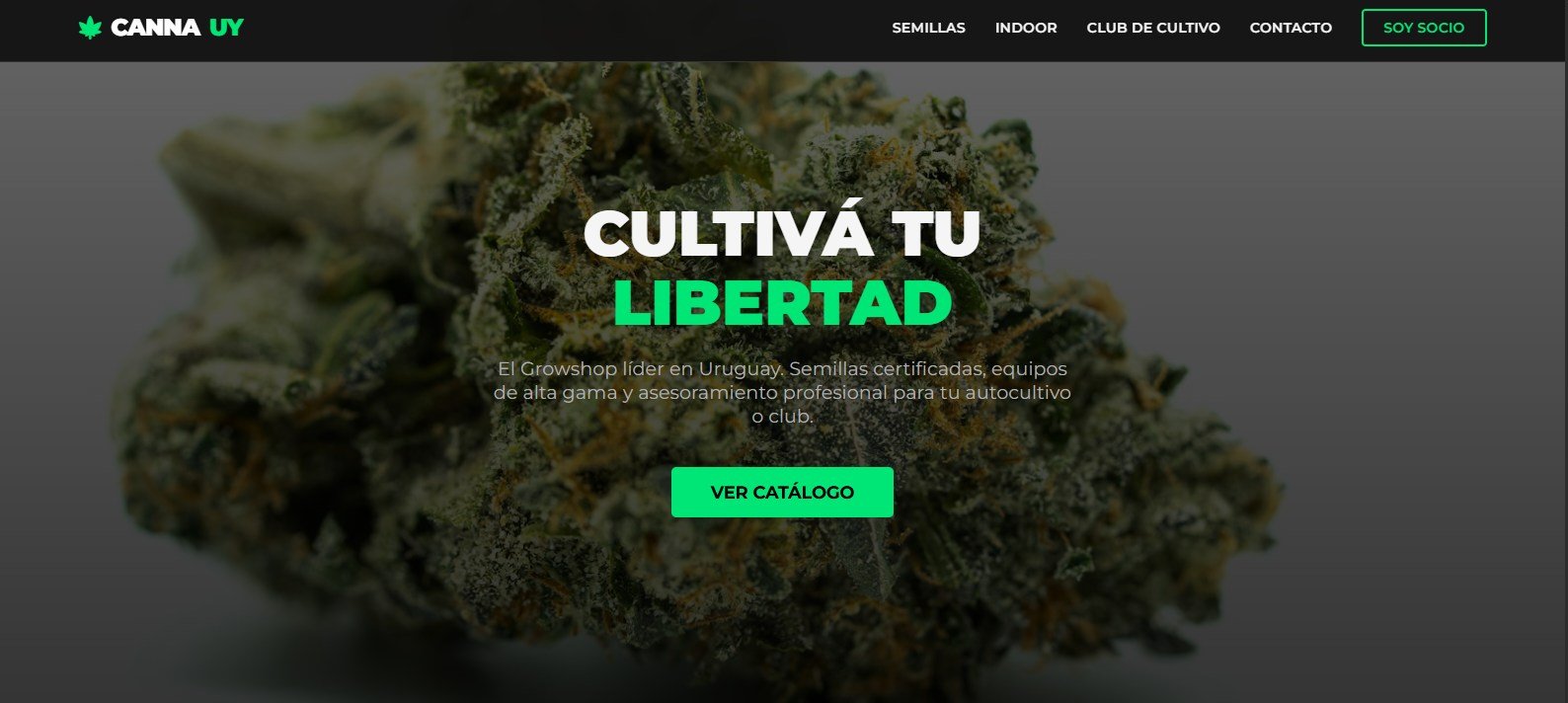 Canna UY